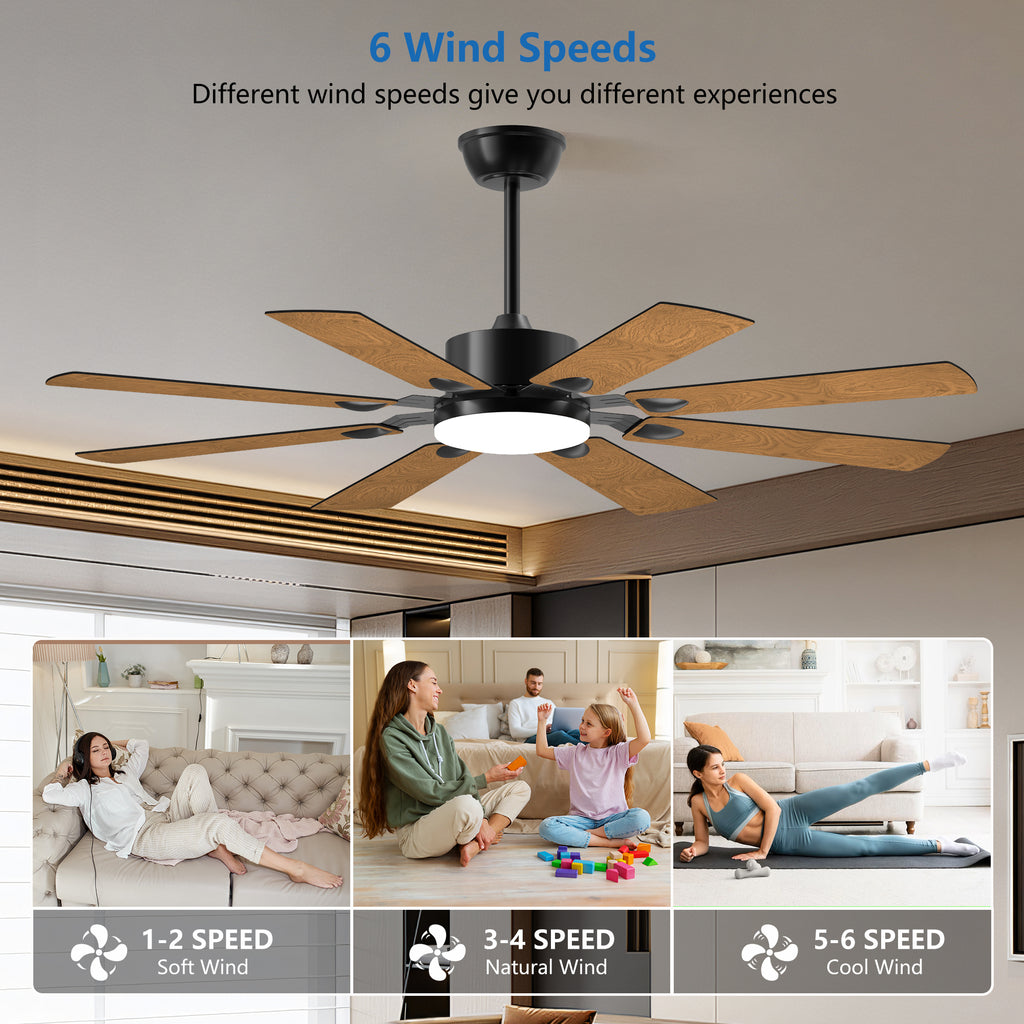 52 in. Ceiling Fan with Lights and Remote Control, 8 Plywood Blades, 6-Speed