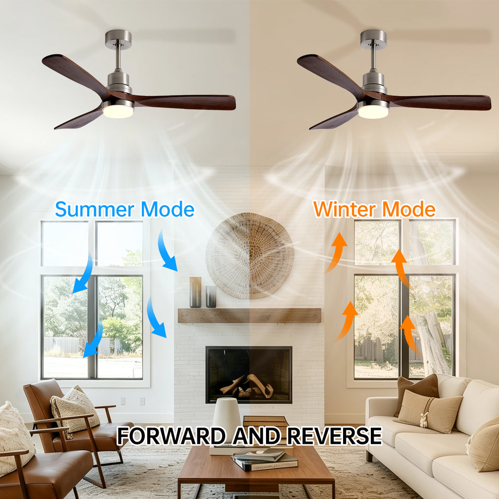 Modern Ceiling Fan Light, 3 Blades, 6 Speed DC Motor